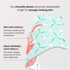 Omnilux Contour Face mask